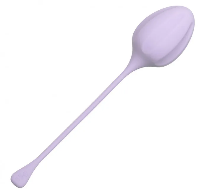 CalExotics Female Sex Toys | Kegel Training 3-Piece Set - Purple CalExotics Female Sex Toys | Kegel Training 3-Piece Set - Purple